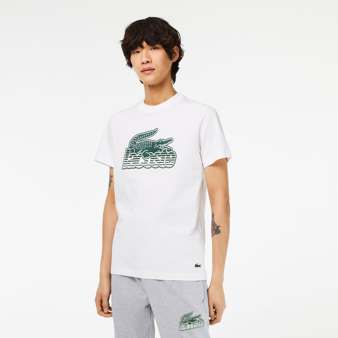 Lacoste Cotton Jersey Print Men's T Shirts White | 365-SCLTRW