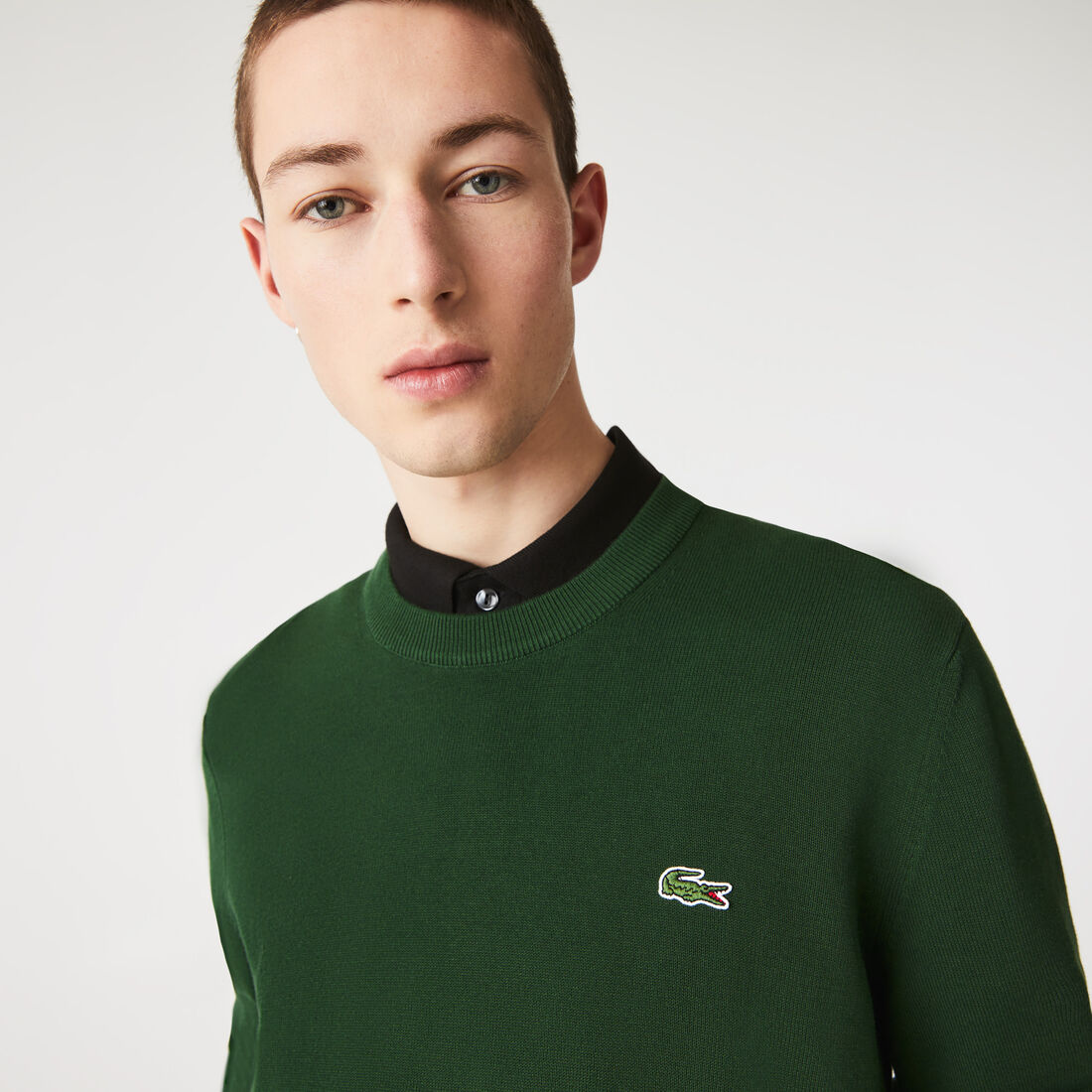 Lacoste Organic Cotton Crew Neck Men's Sweaters Green | 769-ODPQAG