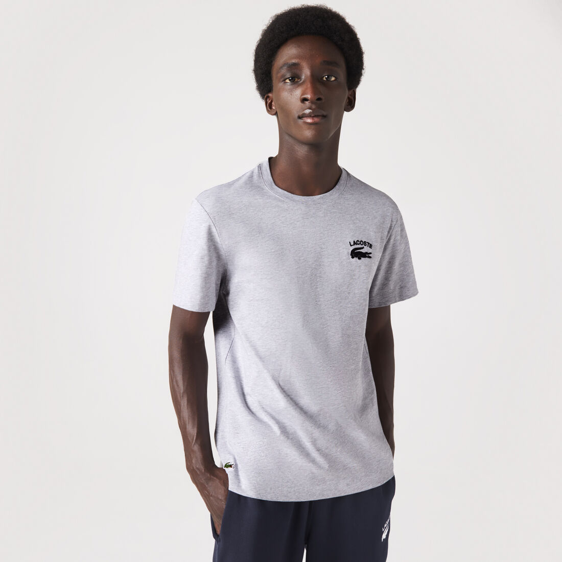 Lacoste Regular Fit Cotton Jersey Men's T Shirts Grey | 081-AJVEOX