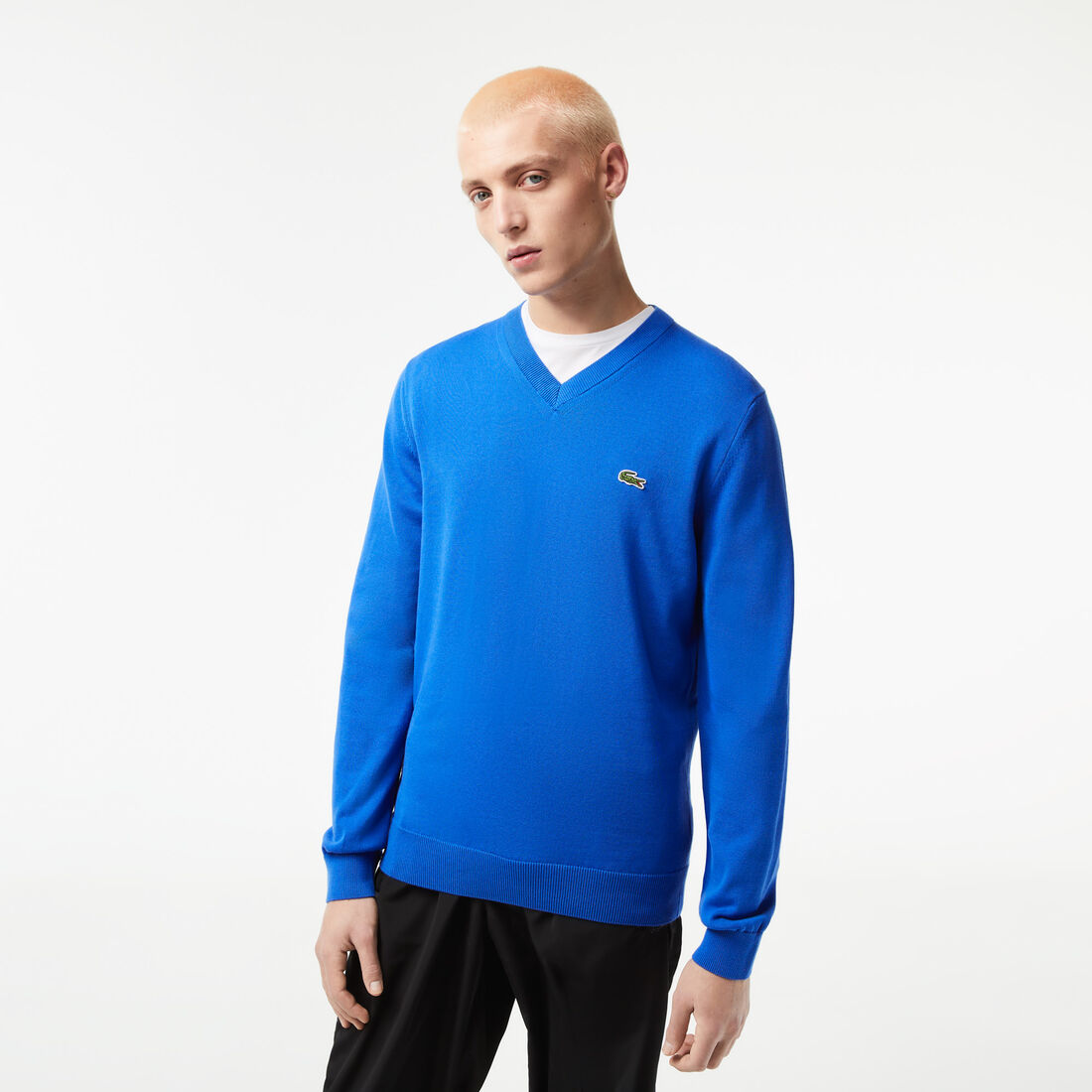 Lacoste V-neck Organic Cotton Men's Sweaters Blue | 716-EBJDCT