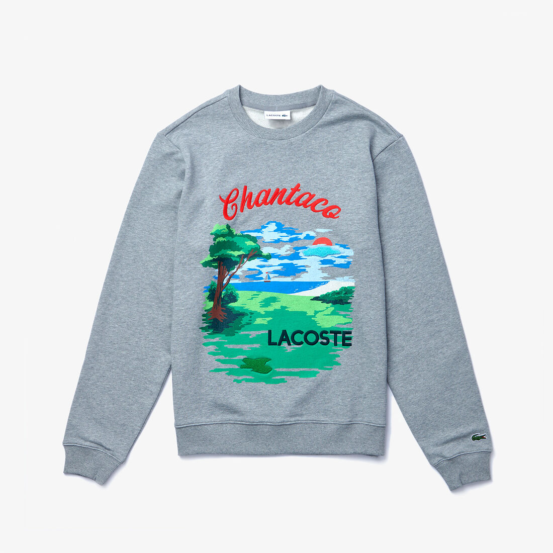 Lacoste Crew Neck Landscape Print Fleece Men's Sweatshirts Grey | 926-GLBYSH