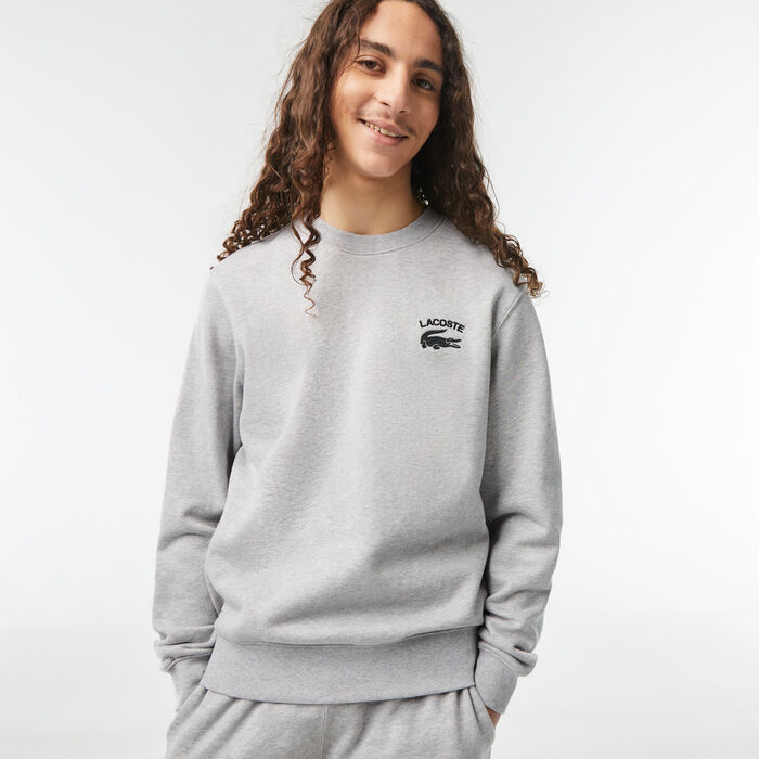 Lacoste Inscription Crew Neck Men's Sweatshirts Grey | 695-UPJFGC