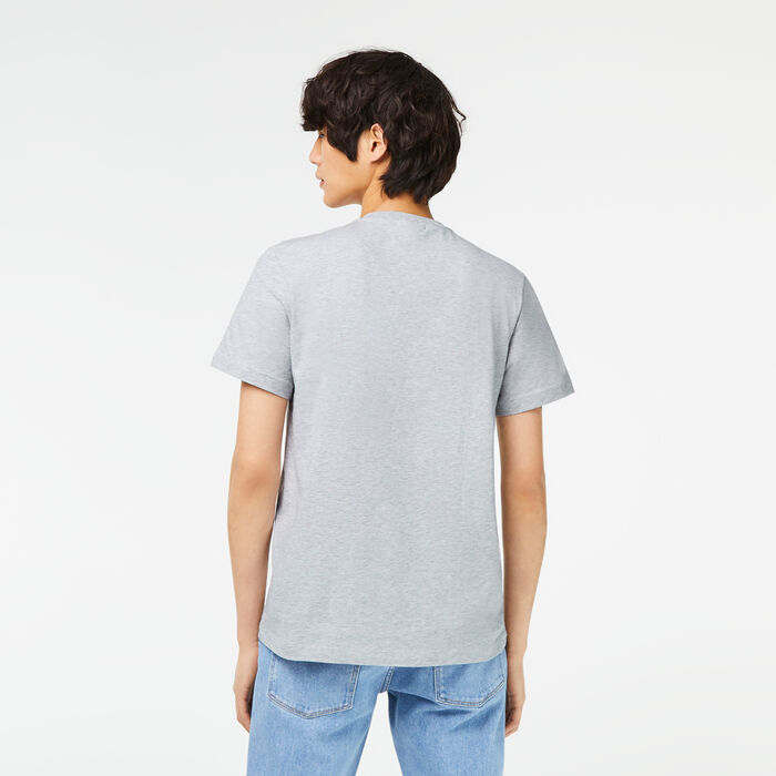 Lacoste V-neck Cotton Men's T Shirts Grey | 834-OHFQAD